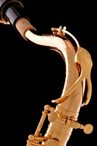 Gold-Plated Tenor Neck